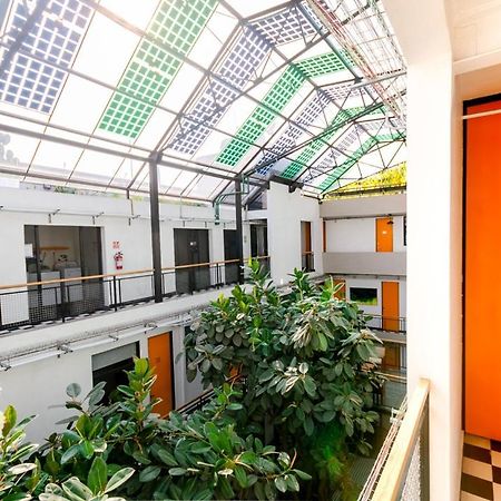 Gallery Lodgment Meksika Dış mekan fotoğraf